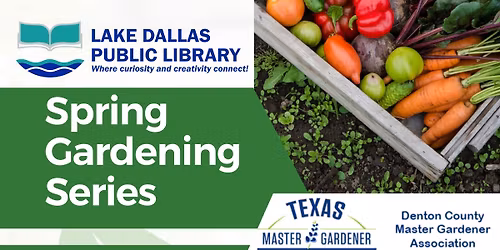 Spring Gardening Series: Summer Veggies 
