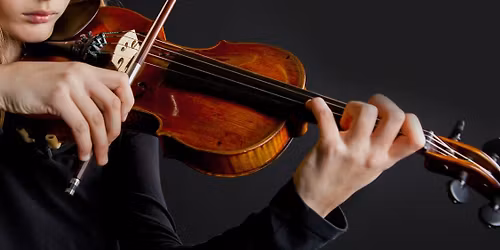 Parking Black Violin