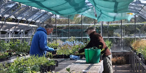 Garden Nursery Volunteering
