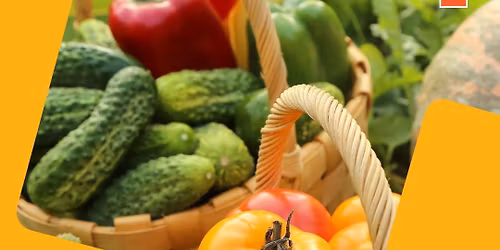 Troubleshooting Your Vegetable Garden