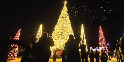 Holiday Parade & Tree Lighting