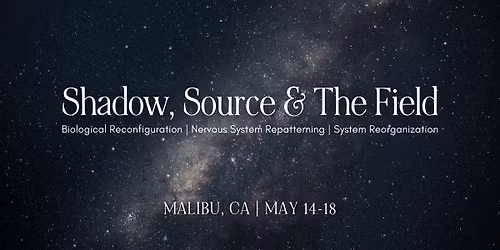 Shadow, Source & the Field | biological reconfiguration & nervous system repatterning