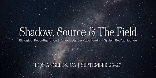 Shadow, Source & the Field | biological reconfiguration & nervous system repatterning