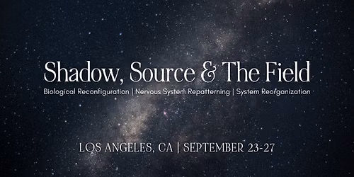 Shadow, Source & the Field | biological reconfiguration & nervous system repatterning