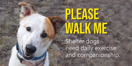 New Volunteer Orientation