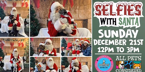 APC Annual Selfies with Santa at Doggos