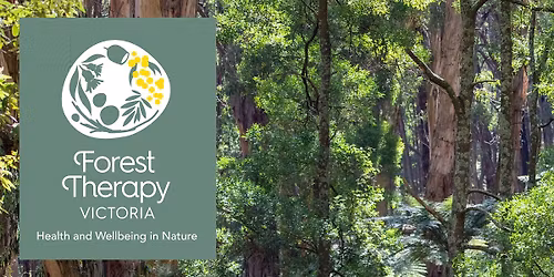 Using Forest Therapy in Your Therapeutic Practice