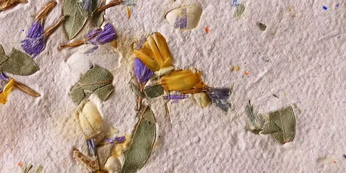 Coffee + Crafts: Seed Papermaking