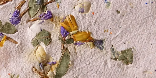 Coffee + Crafts: Seed Papermaking 