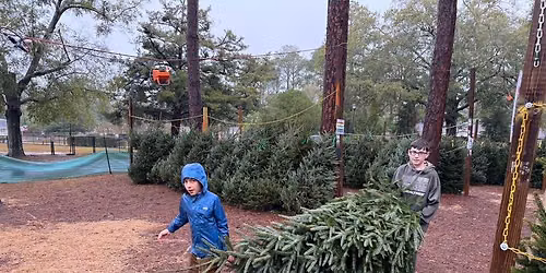 Troop 23 Scouting Annual Tree Lot Sale
