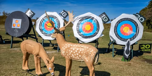 3D Archery Days