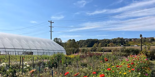 Community Nature Journaling