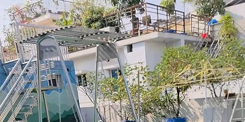 Rooftop Opening For Dogs to Play