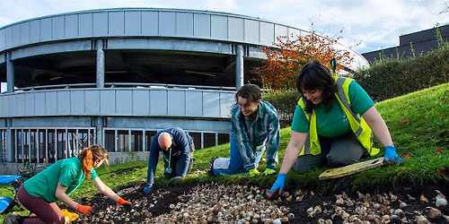 Edgeley Community Planting Day