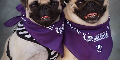 \ud83d\udc3e Bark for Life \ud83d\udc3e