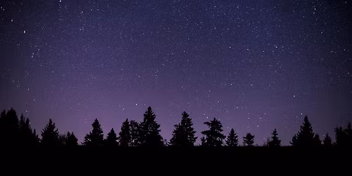Naturalist Bootcamp: Surviving the Night