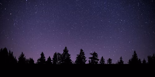 Naturalist Bootcamp: Surviving the Night