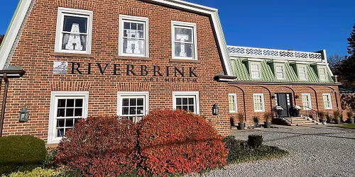 Acrylic Pet Portrait Workshop