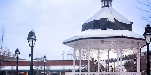 Ligonier Dimond 2025 Mini Christmas Session