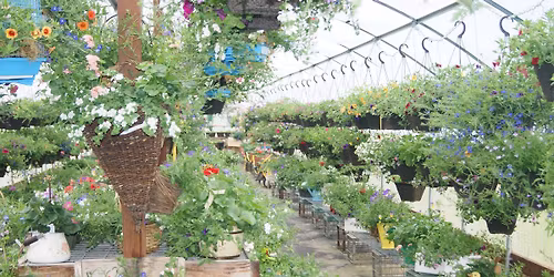 Becky\u2019s Baskets Opening Weekend