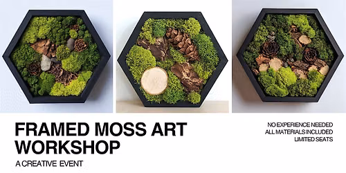 DIY Framed Moss Art Workshop | Top Down - Sumner