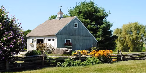 Medicine in your own back yard! The weeds you didn\u2019t know you needed or grew! \u2014 Every Day is Earth Day