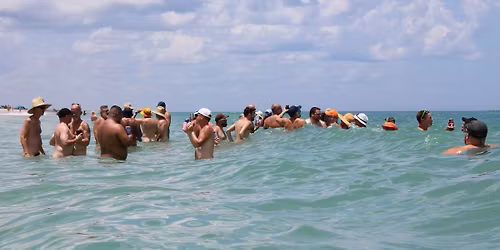 Sunset Bear Beach Invasion 