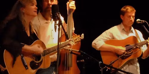 The Gatorbone Trio at The Prohibition Kitchen!