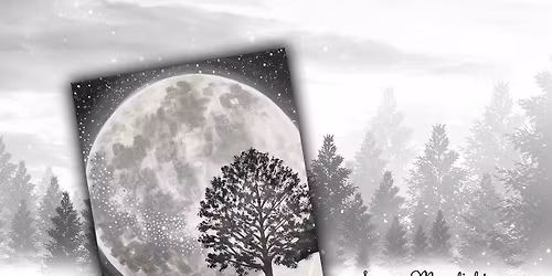 A Winter Moonlit Moment \u2744\ufe0f\ud83c\udf19