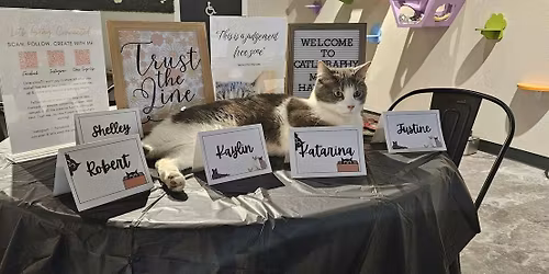 Cats & Calligraphy: Try Not to Lose Your Supplies to a Cat