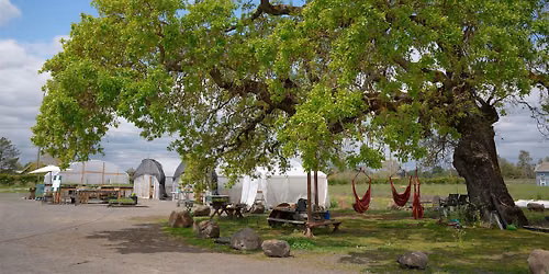 Outdoor Yoga with Live Music