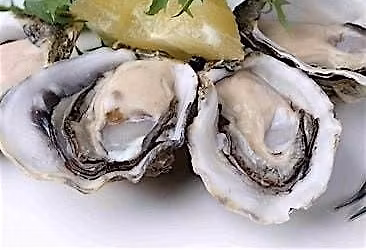 It's "Froysterday" - Oysters and All Night Happy Hour
