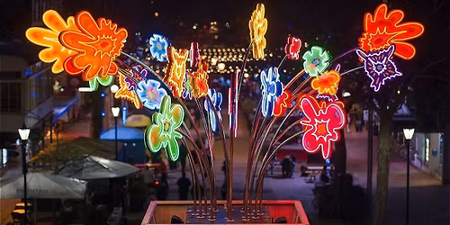 Te Ramaroa Workshop - FREE