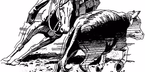 WACHA JUDGES CLINIC WITH NCHA JACKSON GRAY