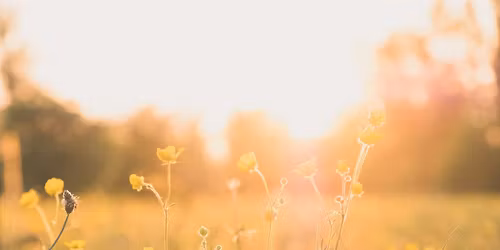 Strong Towns South Milwaukee Monthly Meeting | May