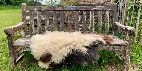 Felted Fleece Rug Workshop and Lunch