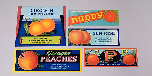 PHOENIX FLIES 2026 | Kenan Research Center: Special Treasures Tour