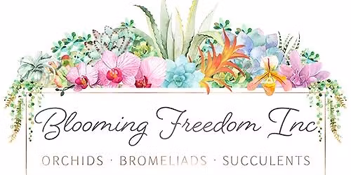 Blooming Freedom Holiday Market