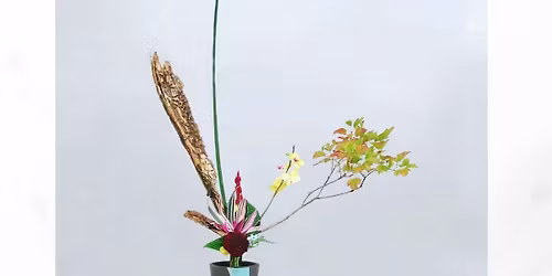 \u0411\u043b\u0430\u0433\u043e\u0434\u0456\u0439\u043d\u0438\u0439 \u0432\u043e\u0440\u043a\u0448\u043e\u043f \u0437 \u0456\u043a\u0435\u0431\u0430\u043d\u0438