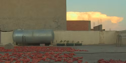 ASSOCIATION AHDARIJA | Programme de courts-m\u00e9trages 