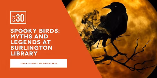Spooky Birds: Myths and Legends at Burlington Library