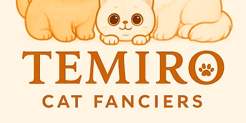 CFA Show \u0130stanbul