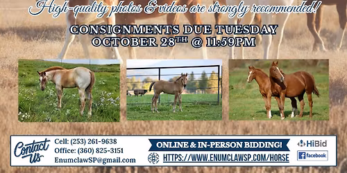 NOVEMBER 2ND - PRODUCTION & MIXED CATALOG HORSE SALE