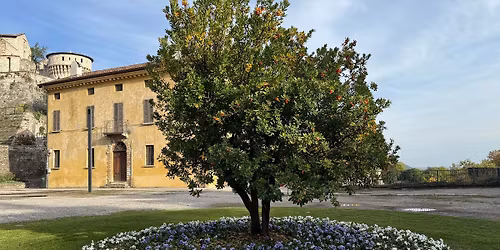 Giornata nazionale degli alberi 🌲