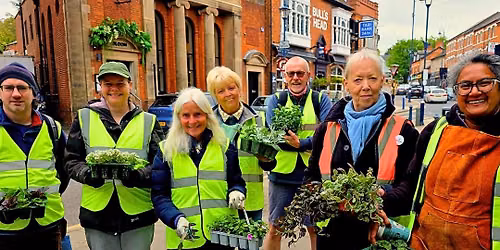 Sun, Soil & Social: Moseley Village Green Planting