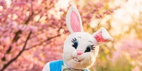 \ud83d\udc30\ud83c\udf38 Easter Bunny Egg Hunt at Tifton! \ud83c\udf38\ud83d\udc30