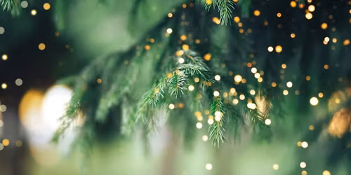 Junior Kindergarten-2nd Grade Concert