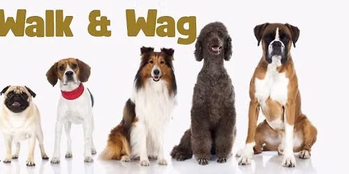 Walk & Wag-Dog Walk Event 