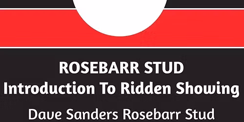 Introduction to Ridden Showing