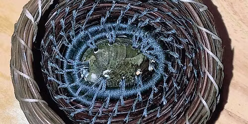 Three Part Art Class: Pine Needle Weaving, Beginning to End